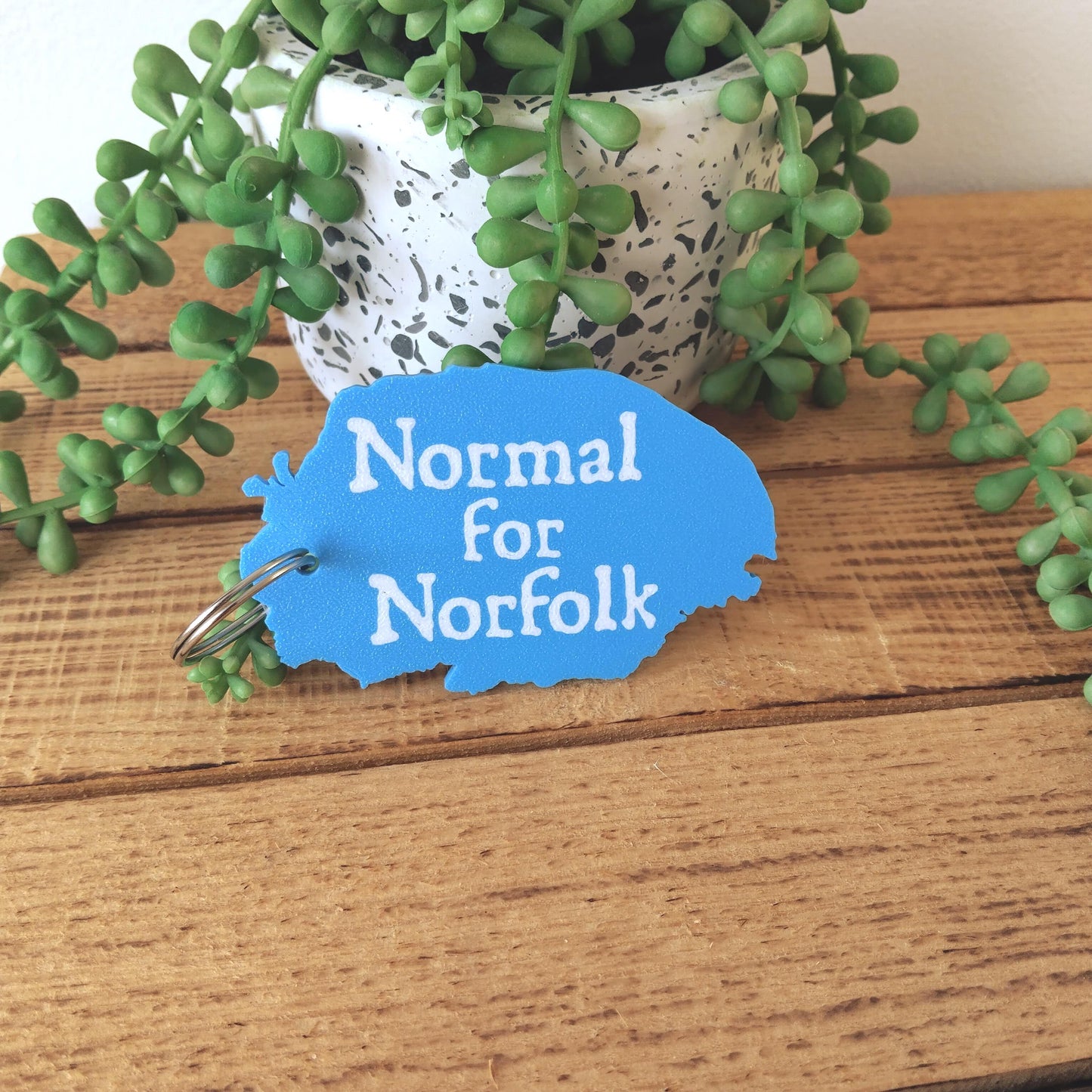 Normal for Norfolk Keyring